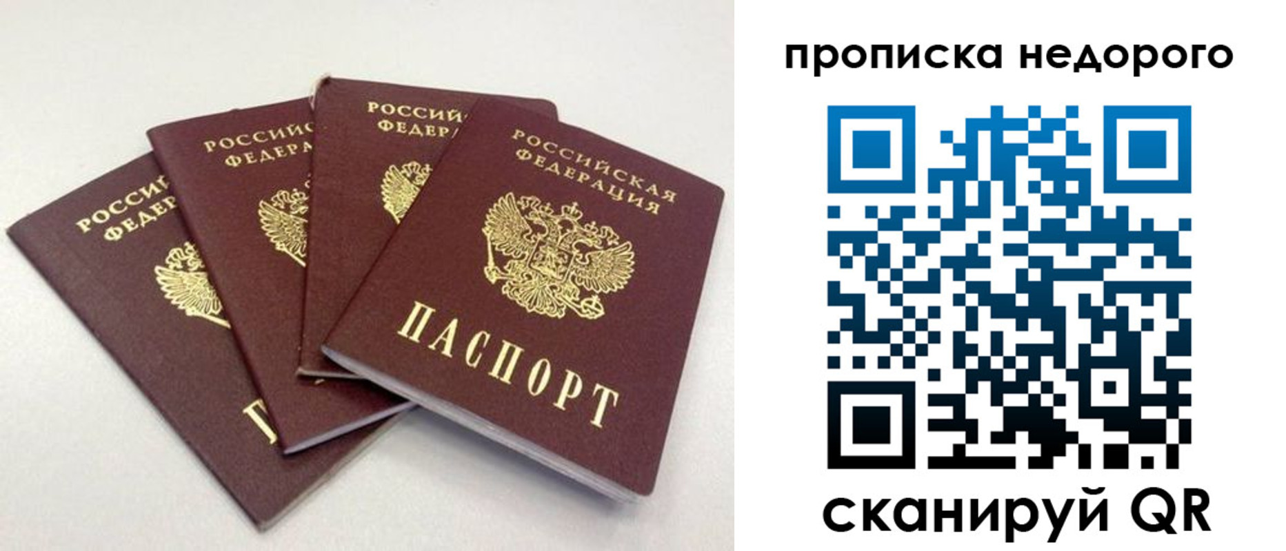 прописка законно в Коле